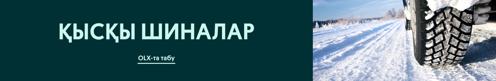 Зимние шины