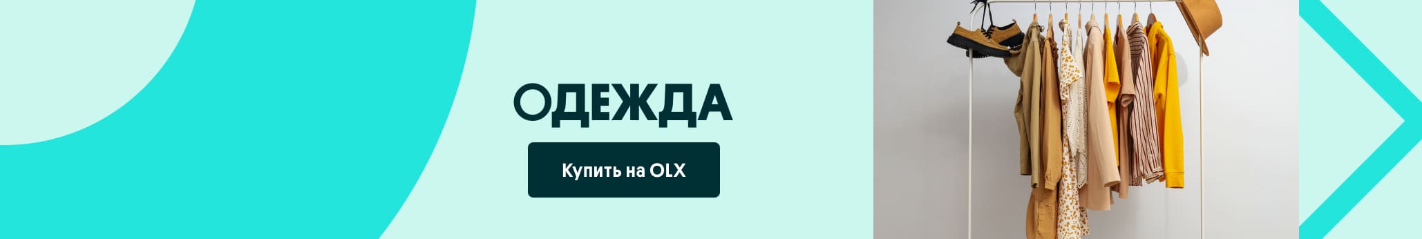 Одежда