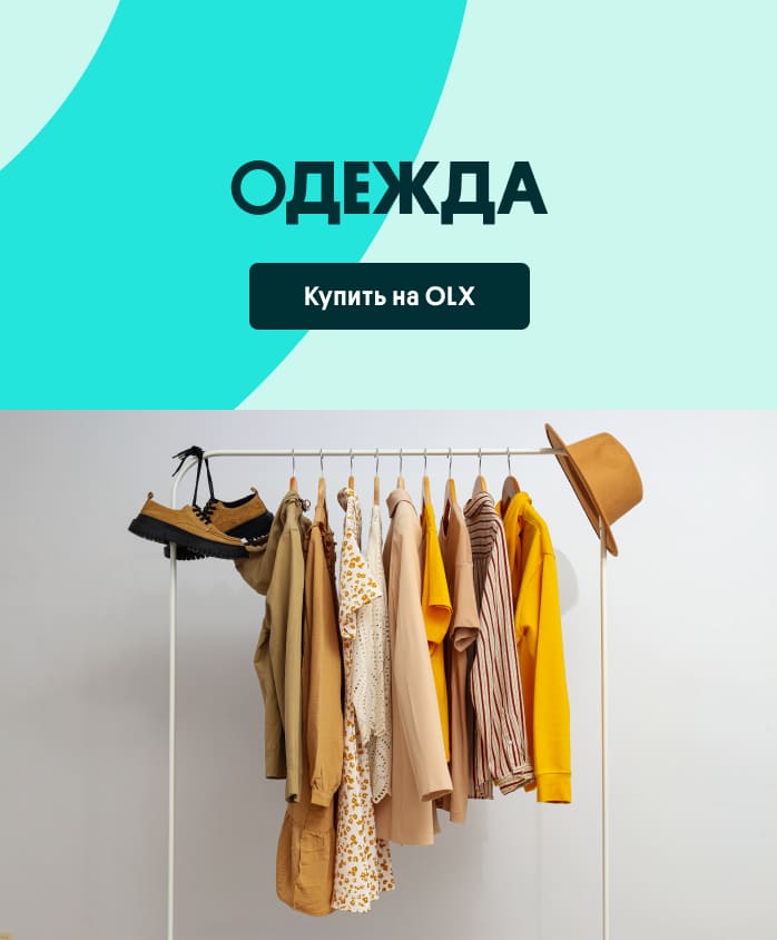Одежда